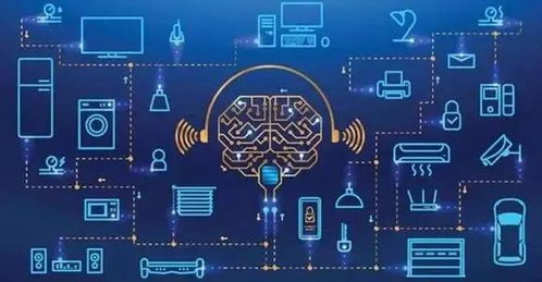 物联网时代的财富新篇章 应用服务的无限商机