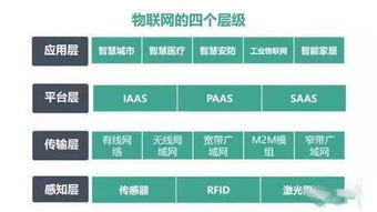 学小实，学大事 物联网走进智能生活